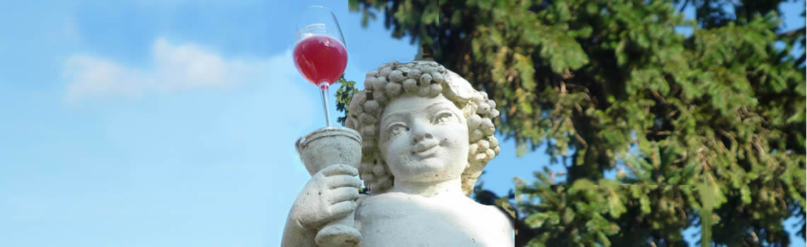 Weingut Niessl, Jois