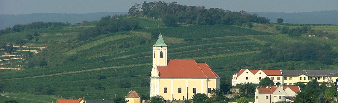 Weingut Niessl, Jois