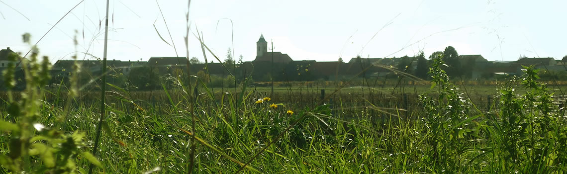 Weingut Niessl, Jois