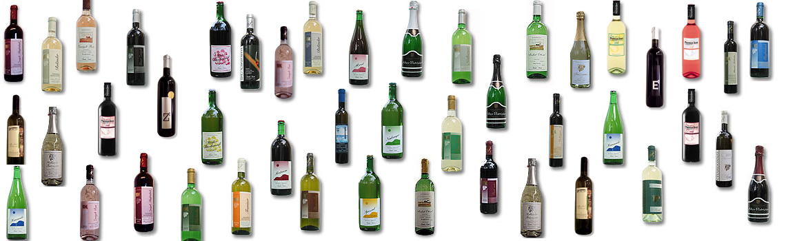 Weingut Niessl, Jois
