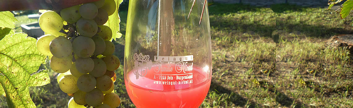 Weingut Niessl, Jois
